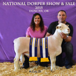 0548 - Teafatiller - Buyer - Twin County Dorpers Grand Champion White Dorper Ram - Lot #188 - National Show & Sale - Duncan Ok - DJS Copyright 15