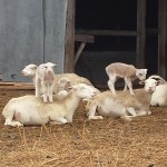 20140309_105016